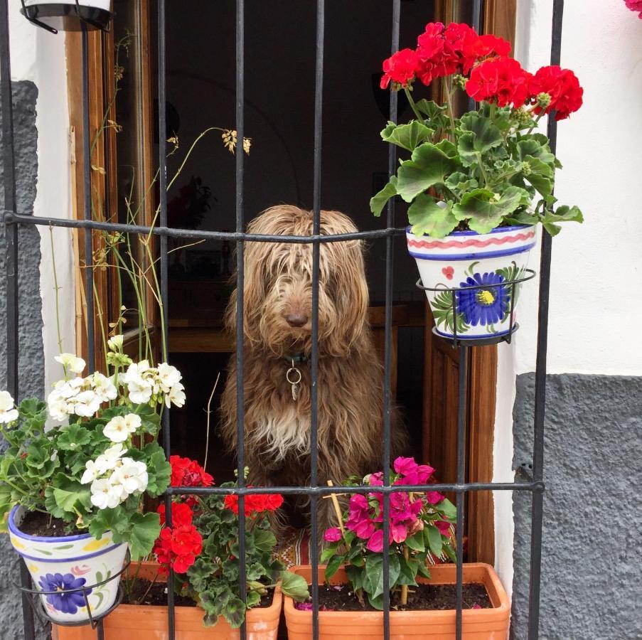 Bed and Breakfast Atelier 88 Alcalá la Real Exterior foto